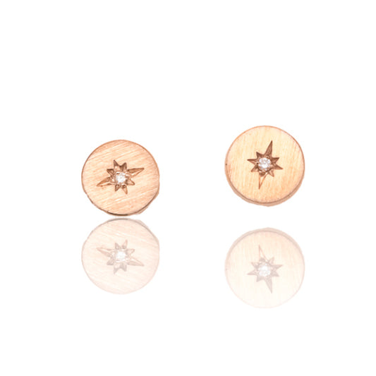 14R Diamond Star-Set Disc Earrings